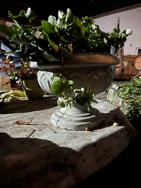 Donice betonowe na kwiaty