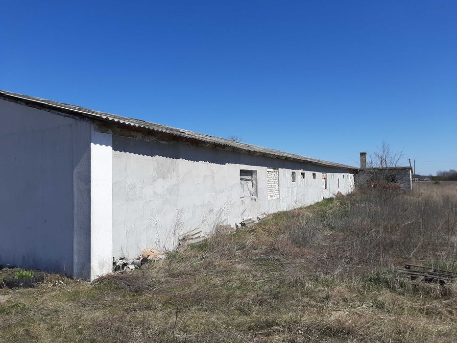 продам свинарник приміщення ферми склад ферма