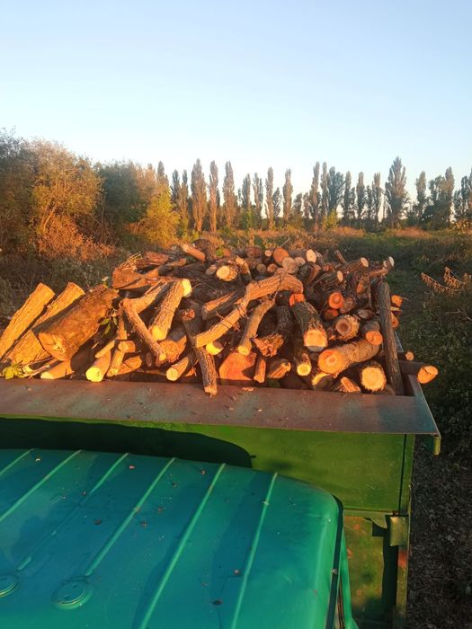 Продам дрова яблоня и клён