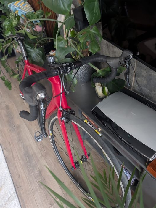 Trek Madone  project one rower szosowy carbon 54cm dura Ace  schimano