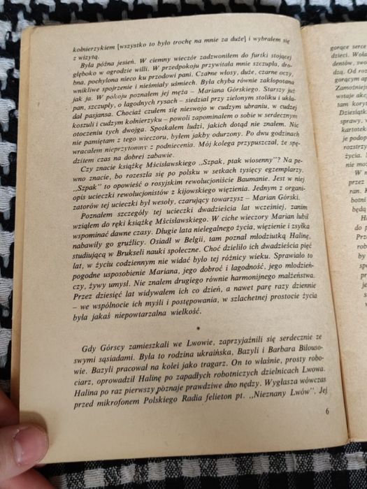 Halina Górska - Chłopcy z ulic miasta