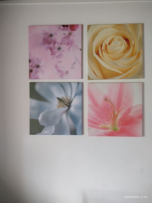 Quadros de flores442066731806248961