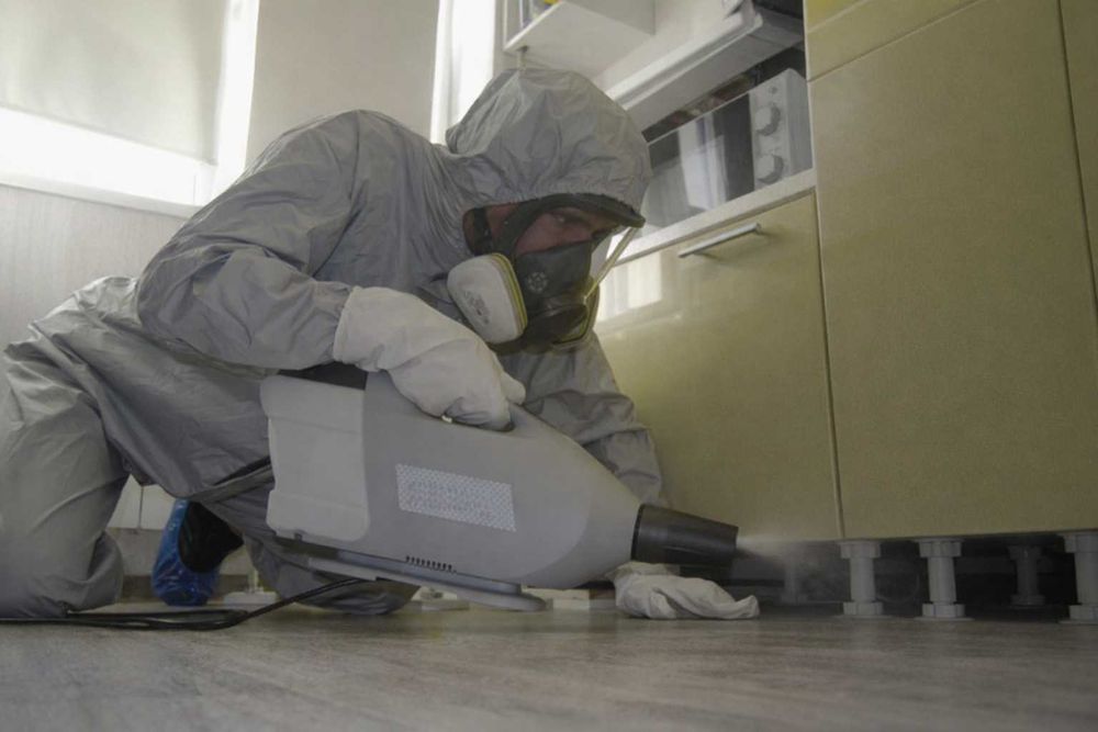 Уничтожение тараканов и клопов Киев и область Срочно Выезд сегодня