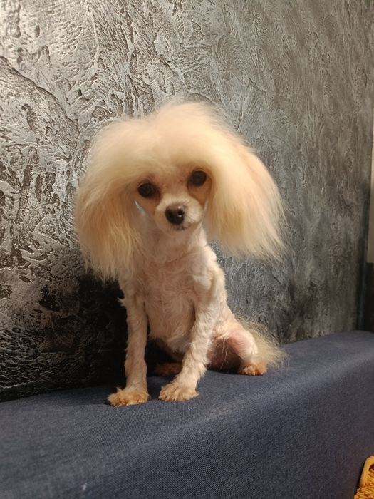 Дівчинка півтора року.