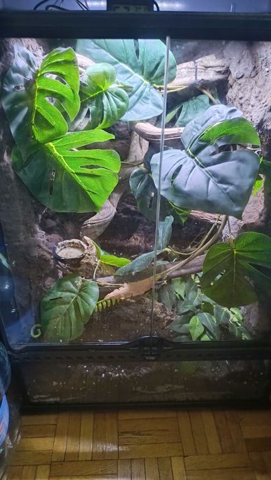 Terrarium 45x45x60