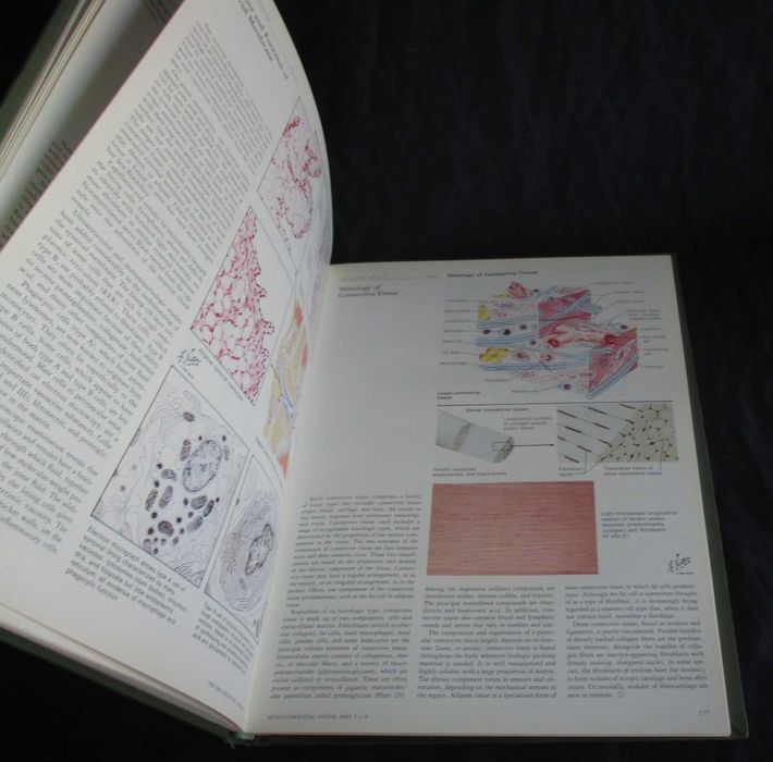 Livro Ciba Collection Of Medical Illustrations Musculoskeletal System