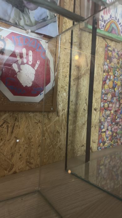 Terrario Grande 100cm