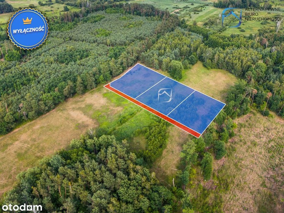 Ustronna działka 3112 m² | Niedźwiada Duża - Widok 3