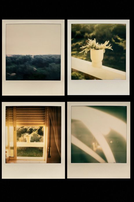 Polaroid sx-70 fotos