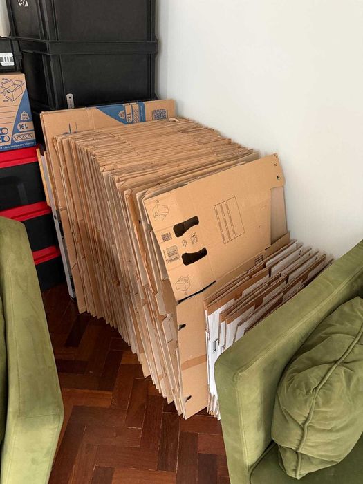 Caixas de cartão mudanças RAJA — lote 74 caixas + bolha