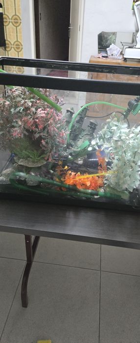 Aquario Completo  50 litros - Agua quente