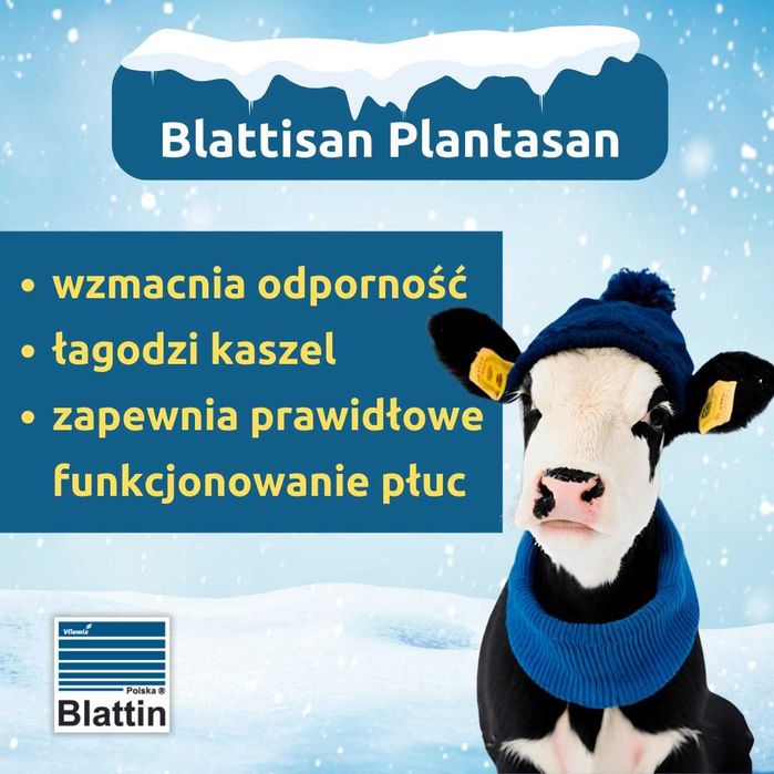 Blattisan Plantasan przeciw kaszlowi u prosiąt i cieląt 10 kg