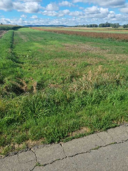 Działka budowlana 12 arów – Głowienka, ul. Polna – bez pośredników