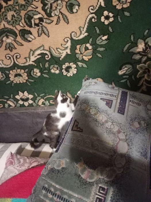 Дуже активна дівчинка