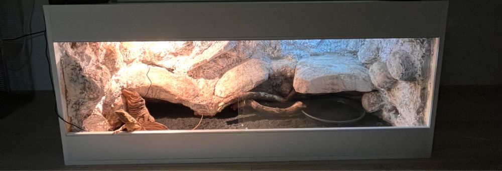 Terrarium