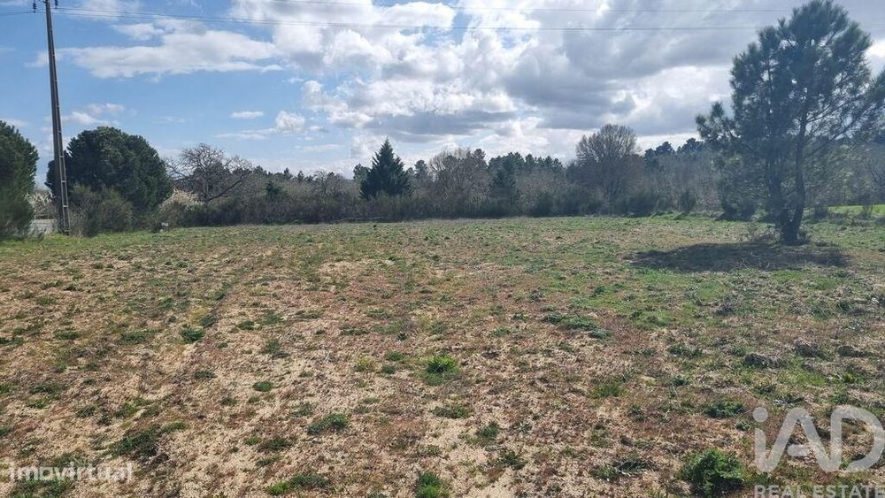 Terreno para construção em Pêra do Moço