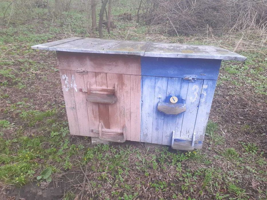 Продаються вулики