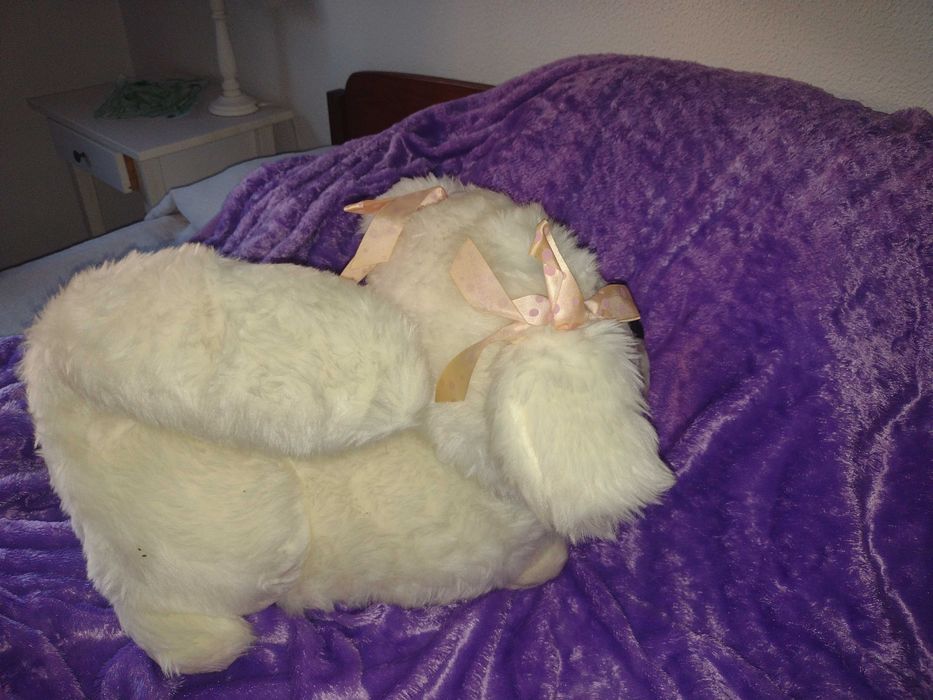 Cãozinho de peluche branco e focinho cor-de-rosa.