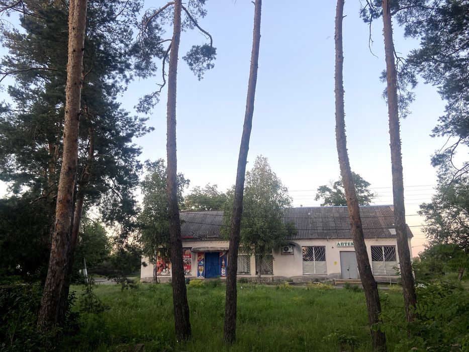 продам земельну ділянку 43 сот Київська Вишгородський Жукин садівництво