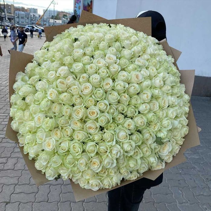 Свежая роза, доставка цветов Днепр, букет 151 роза, цветы