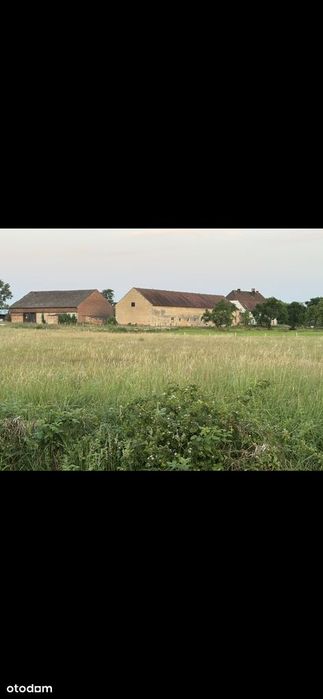 Hala magazynowa 400 m² z parkingiem i zabezpieczeniami