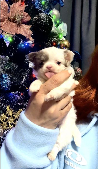 Мальчишечка супер мини