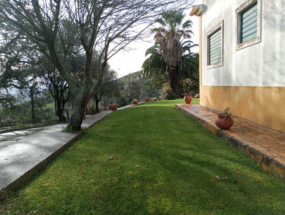 JARDINEIRO Manutenções construção jardins