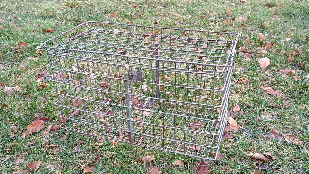 Skrzynia Do Transportu Jajek - Metalowa (Cena za Sztukę)