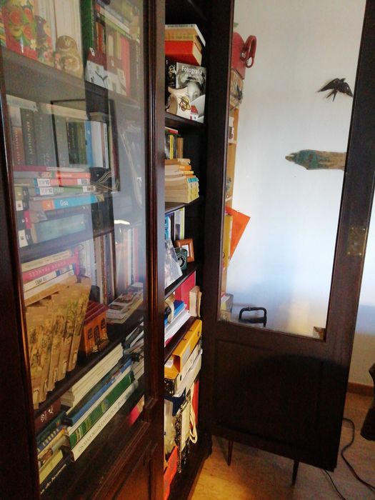 Móvel Biblioteca  séc XIX reservado