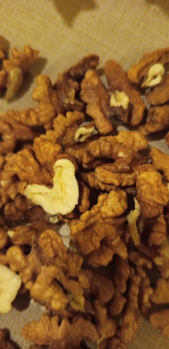 Orzech włoski łuskany