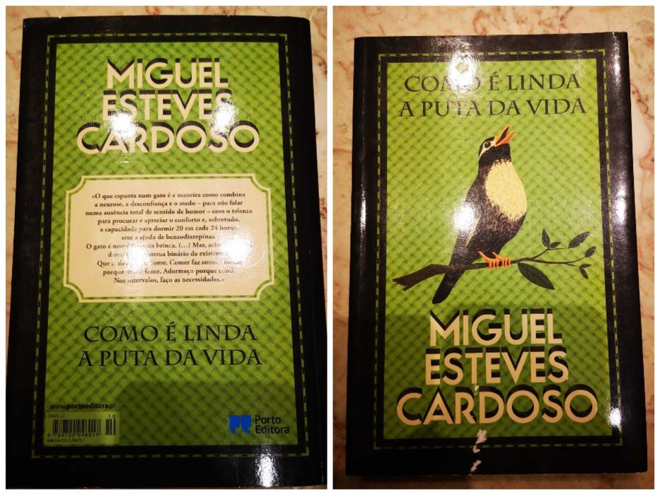 Livros litaratura diversos