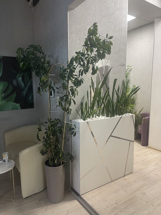 Аренда места для мастера по кератину/ботоксу