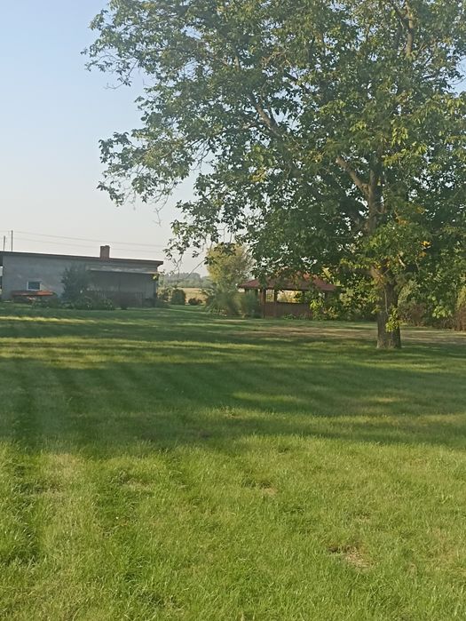 Sprzedam działkę. Elżbiecin.