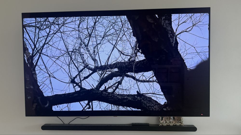 Telewizor LG 55EG9A7V 55" OLED Full HD WebOS magic pilot WWW SMART USB