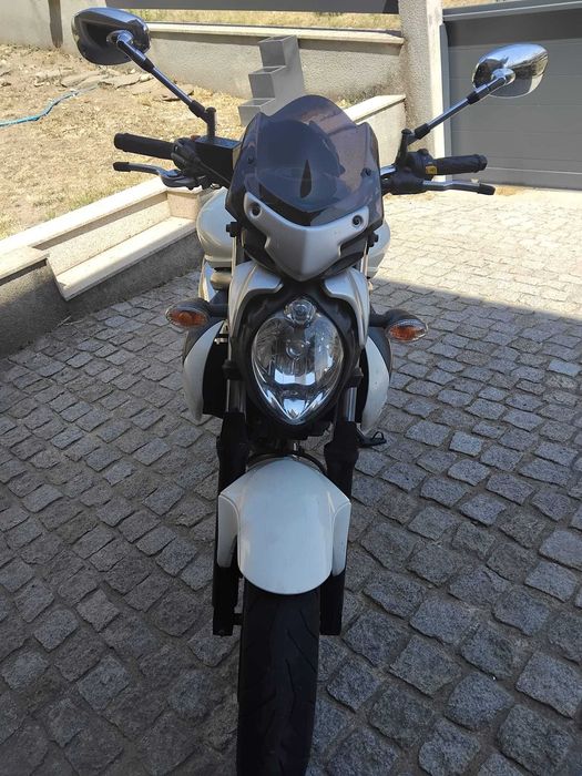 Mota Suzuki Gladius SFV