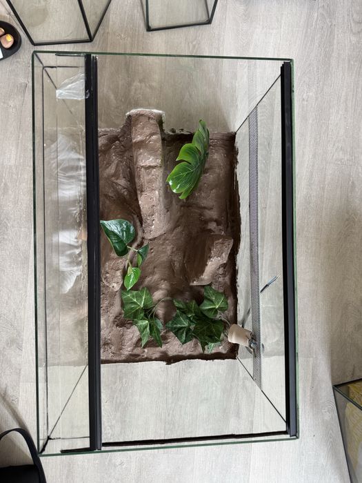 Terrarium 60x40x40 wąż, gad, jaszczurka