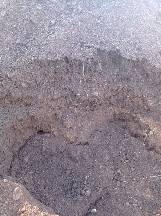 Перегной грибной .  В мешках