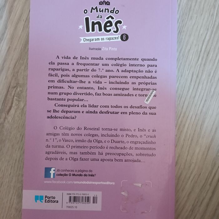livro 6 da coleçao "o mundo da Inês"
