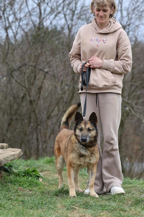 Do adopcji samiec ok 9lat