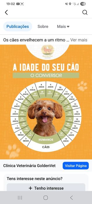 Fico com o seu cão.  Se quiser viajar . Casa particular