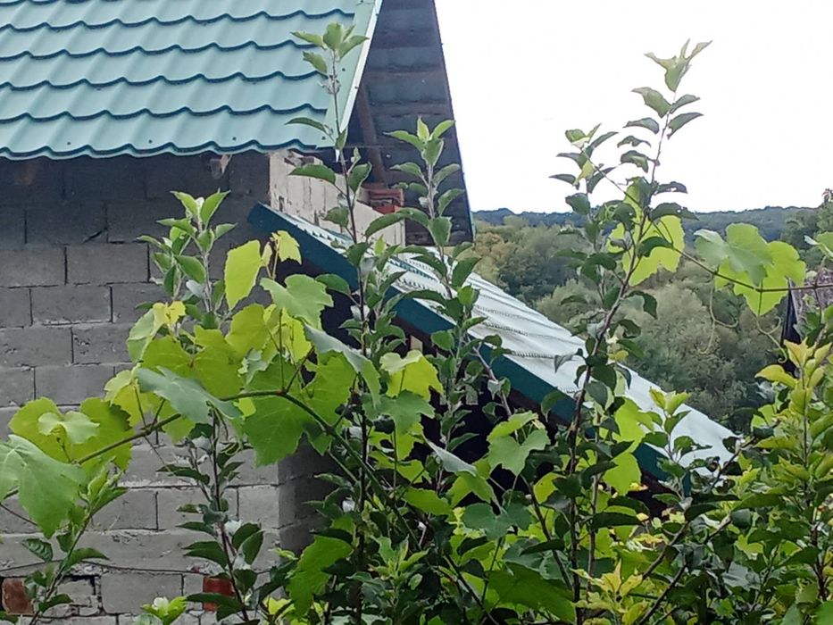 Продається будинок