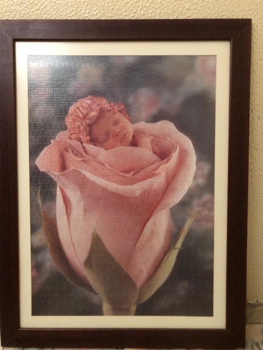 Variados quadros de puzzle