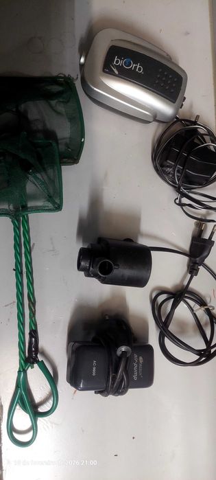 Peixes  camarões plantas aquário