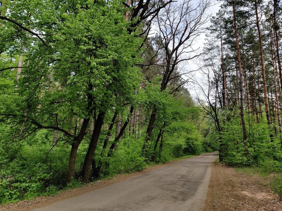 Продаж дачі  Макарівський район село Андріївка ТОВ "Відрадний"і