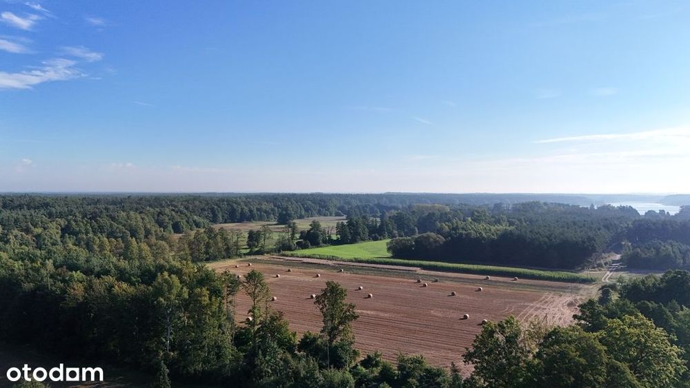 Działka z wydanymi warunkami z prywatnym lasem