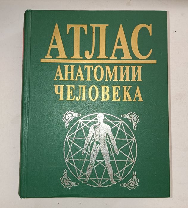 Атлас анатомии человека