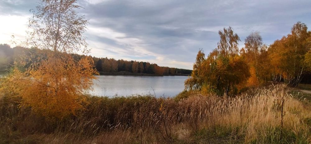 Продам земельну ділянку