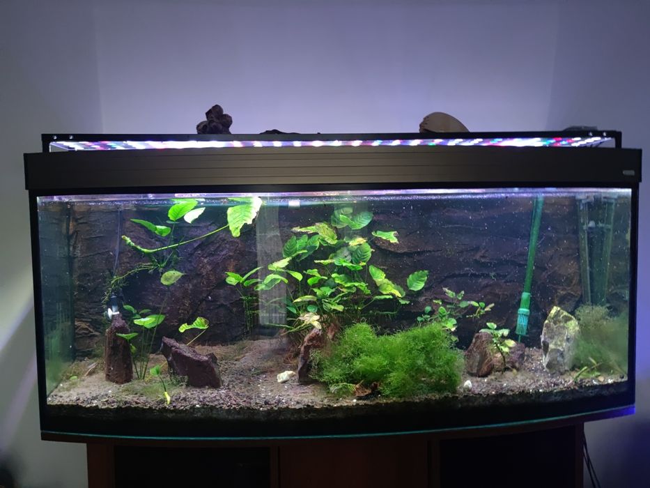 Szafka pod akwarium 500 litrów 150 cm