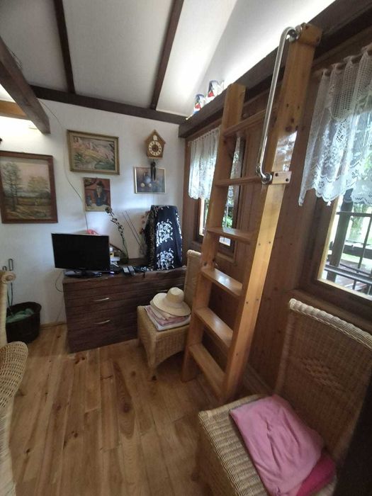 Działka rekreacyjna w Szczecinie - ROD "Relaks" przy ul. Nehringa