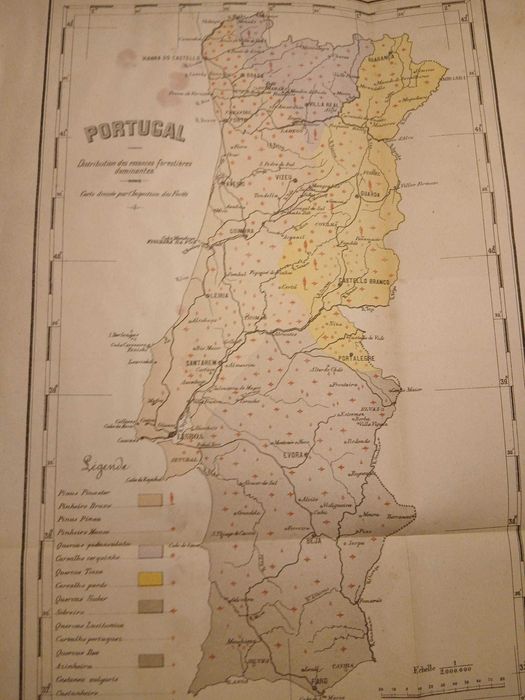 Mapa Portugal - Distribution des essences forestiéres dominantes